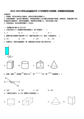 2023-2024学年山东省临沂市12中学数学七年级第一学期期末检测试题含解析.doc
