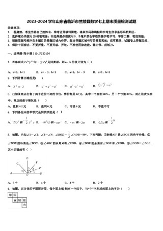 2023-2024学年山东省临沂市兰陵县数学七上期末质量检测试题含解析.doc