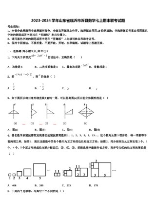 2023-2024学年山东省临沂市沂县数学七上期末联考试题含解析.doc