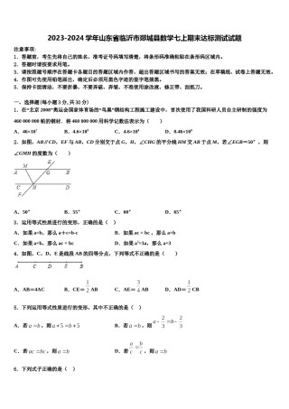 2023-2024学年山东省临沂市郯城县数学七上期末达标测试试题含解析.doc