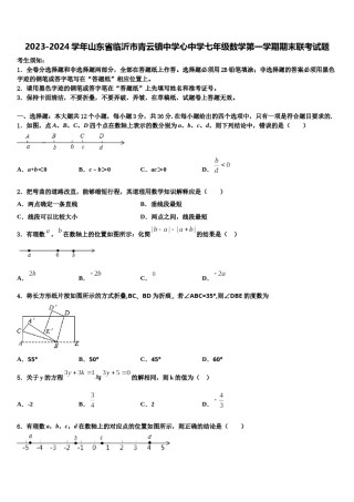 2023-2024学年山东省临沂市青云镇中学心中学七年级数学第一学期期末联考试题含解析.doc