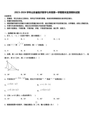 2023-2024学年山东省临沂数学七年级第一学期期末监测模拟试题含解析.doc