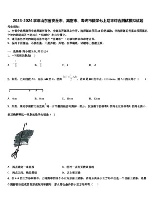 2023-2024学年山东省安丘市、高密市、寿光市数学七上期末综合测试模拟试题含解析.doc
