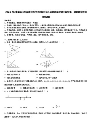 2023-2024学年山东省德州市经济开发区抬头寺镇中学数学七年级第一学期期末检测模拟试题含解析.doc