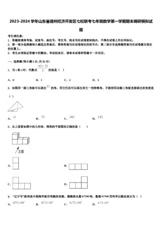 2023-2024学年山东省德州经济开发区七校联考七年级数学第一学期期末调研模拟试题含解析.doc