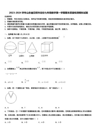 2023-2024学年山东省日照市名校七年级数学第一学期期末质量检测模拟试题含解析.doc