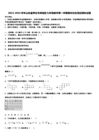 2023-2024学年山东省枣庄市峄城区七年级数学第一学期期末综合测试模拟试题含解析.doc