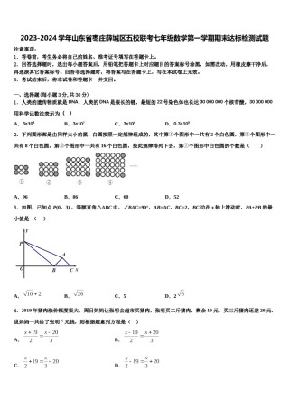 2023-2024学年山东省枣庄薛城区五校联考七年级数学第一学期期末达标检测试题含解析.doc