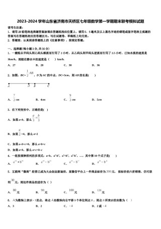 2023-2024学年山东省济南市天桥区七年级数学第一学期期末联考模拟试题含解析.doc