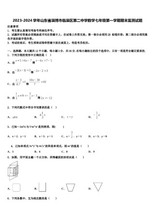 2023-2024学年山东省淄博市临淄区第二中学数学七年级第一学期期末监测试题含解析.doc
