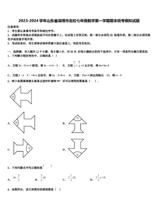 2023-2024学年山东省淄博市名校七年级数学第一学期期末统考模拟试题含解析.doc