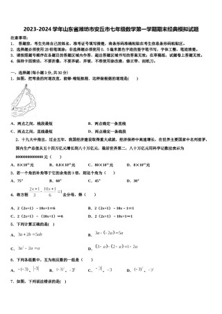 2023-2024学年山东省潍坊市安丘市七年级数学第一学期期末经典模拟试题含解析.doc