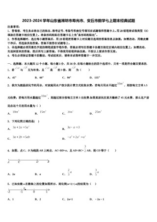 2023-2024学年山东省潍坊市寿光市、安丘市数学七上期末经典试题含解析.doc