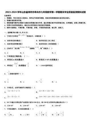 2023-2024学年山东省潍坊市寿光市七年级数学第一学期期末学业质量监测模拟试题含解析.doc