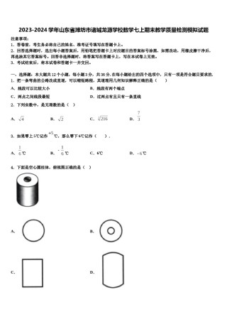 2023-2024学年山东省潍坊市诸城龙源学校数学七上期末教学质量检测模拟试题含解析.doc