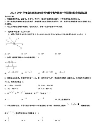 2023-2024学年山东省潍坊市青州市数学七年级第一学期期末综合测试试题含解析.doc