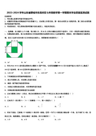 2023-2024学年山东省聊城市东昌府区七年级数学第一学期期末学业质量监测试题含解析.doc