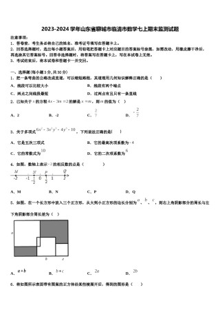 2023-2024学年山东省聊城市临清市数学七上期末监测试题含解析.doc