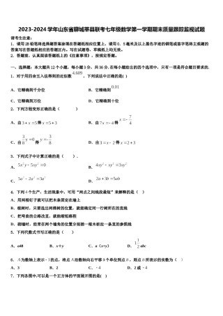 2023-2024学年山东省聊城莘县联考七年级数学第一学期期末质量跟踪监视试题含解析.doc