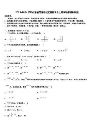 2023-2024学年山东省菏泽市成武县数学七上期末联考模拟试题含解析.doc