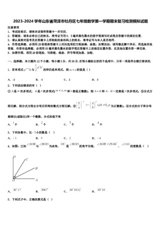 2023-2024学年山东省菏泽市牡丹区七年级数学第一学期期末复习检测模拟试题含解析.doc