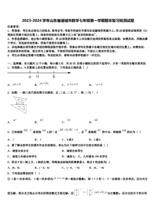 2023-2024学年山东省诸城市数学七年级第一学期期末复习检测试题含解析.doc