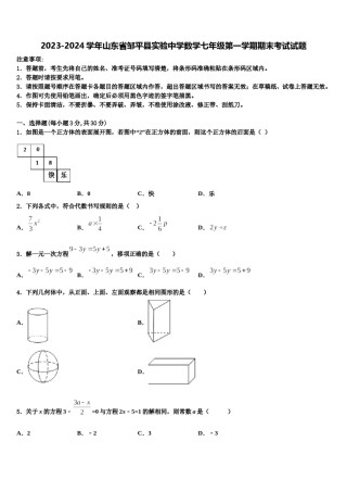 2023-2024学年山东省邹平县实验中学数学七年级第一学期期末考试试题含解析.doc