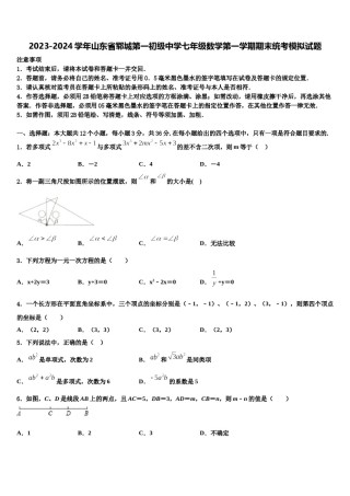 2023-2024学年山东省郓城第一初级中学七年级数学第一学期期末统考模拟试题含解析.doc