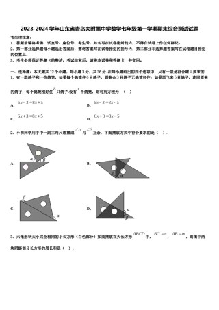 2023-2024学年山东省青岛大附属中学数学七年级第一学期期末综合测试试题含解析.doc