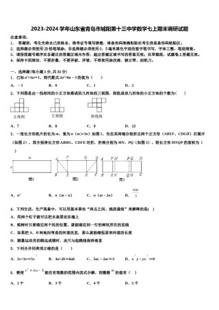 2023-2024学年山东省青岛市城阳第十三中学数学七上期末调研试题含解析.doc