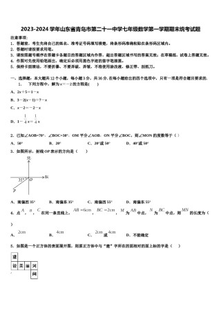2023-2024学年山东省青岛市第二十一中学七年级数学第一学期期末统考试题含解析.doc