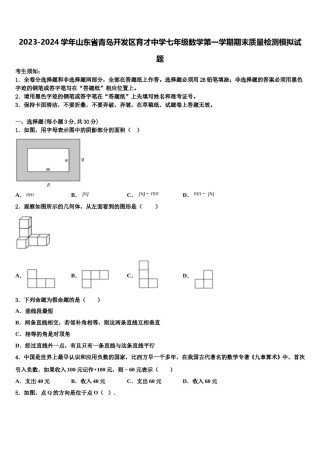 2023-2024学年山东省青岛开发区育才中学七年级数学第一学期期末质量检测模拟试题含解析.doc