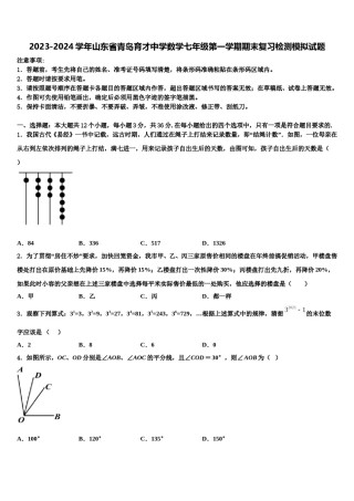 2023-2024学年山东省青岛育才中学数学七年级第一学期期末复习检测模拟试题含解析.doc
