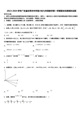 2023-2024学年广东省东莞市中学堂六校七年级数学第一学期期末经典模拟试题含解析.doc