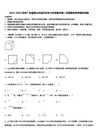 2023-2024学年广东省佛山市城北中学七年级数学第一学期期末联考模拟试题含解析.doc