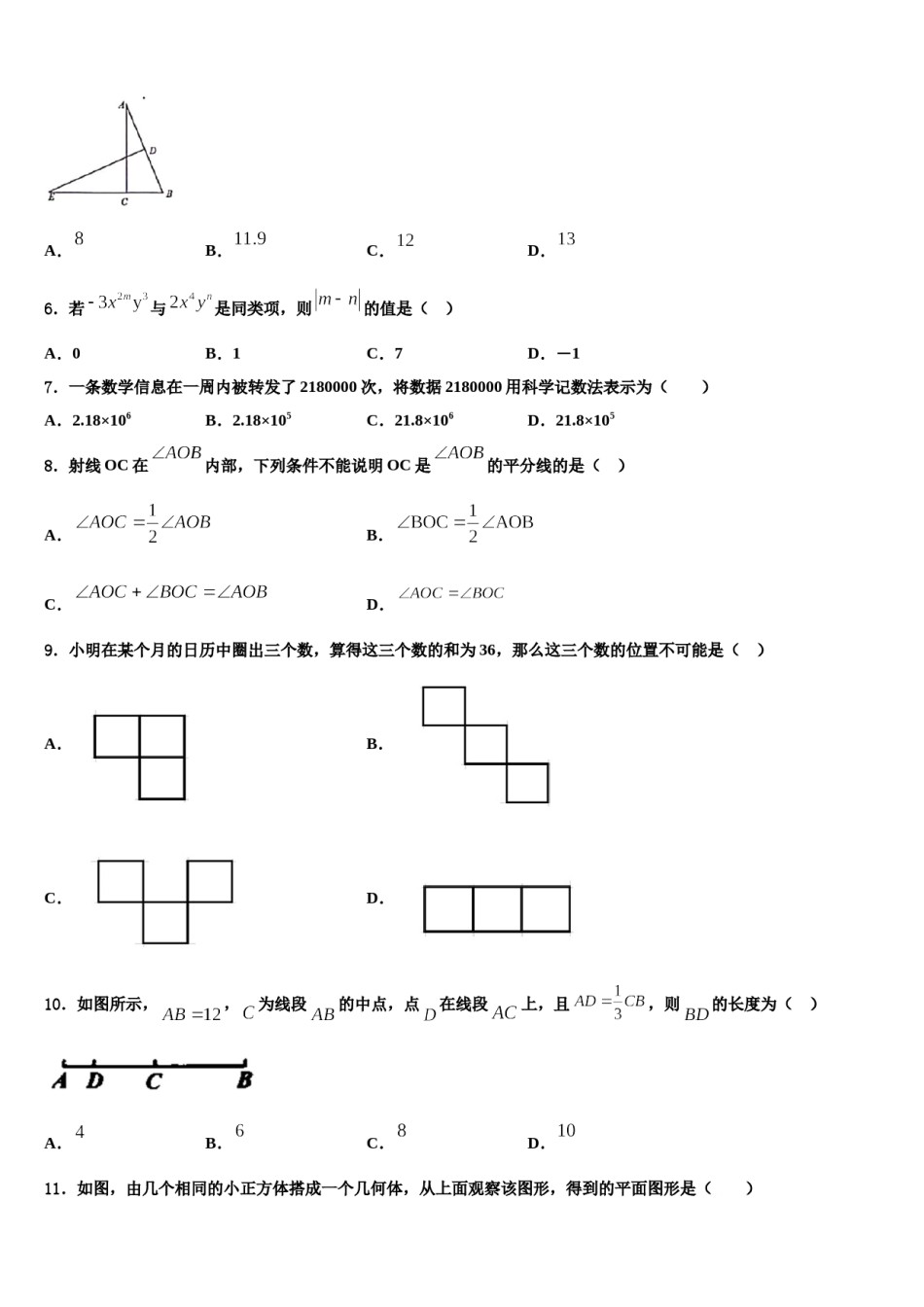2023-2024学年广东省广州市华南师大附中数学七年级第一学期期末联考模拟试题含解析.doc_第2页