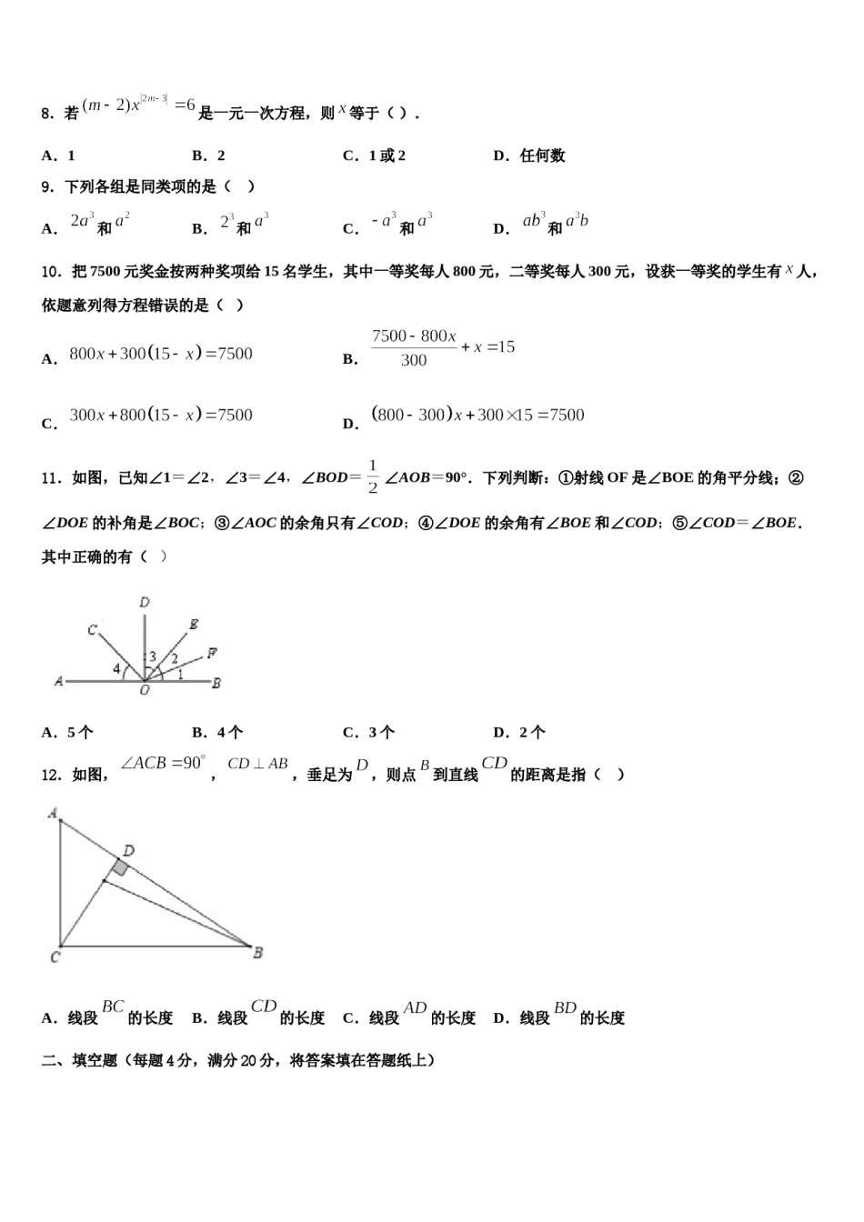 2023-2024学年广东省广州市天河区暨南大附中数学七上期末复习检测模拟试题含解析.doc_第3页