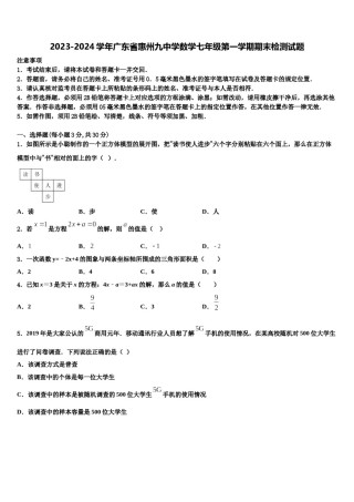 2023-2024学年广东省惠州九中学数学七年级第一学期期末检测试题含解析.doc