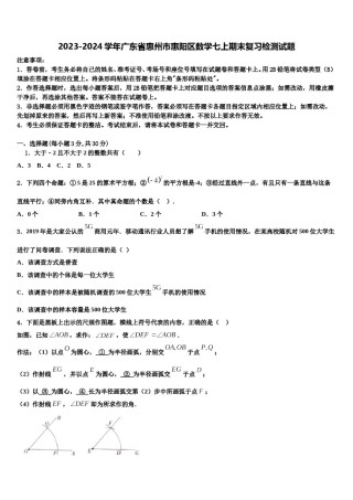 2023-2024学年广东省惠州市惠阳区数学七上期末复习检测试题含解析.doc