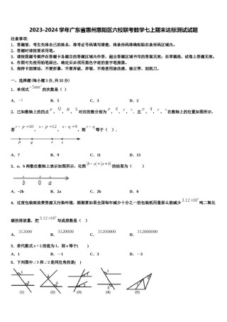 2023-2024学年广东省惠州惠阳区六校联考数学七上期末达标测试试题含解析.doc