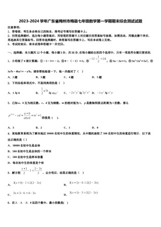 2023-2024学年广东省梅州市梅县七年级数学第一学期期末综合测试试题含解析.doc