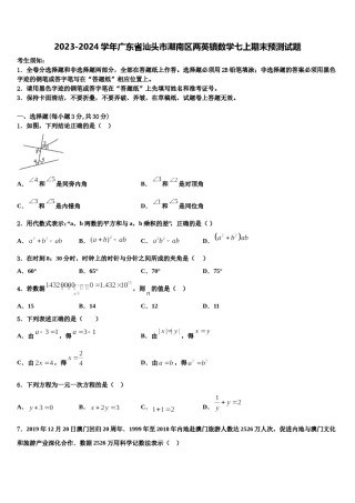 2023-2024学年广东省汕头市潮南区两英镇数学七上期末预测试题含解析.doc