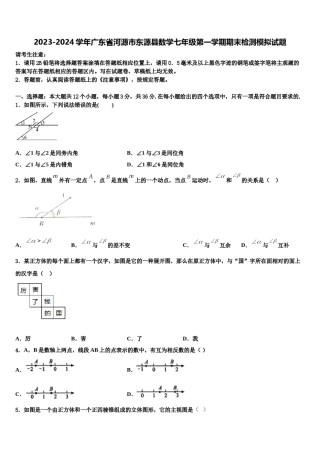 2023-2024学年广东省河源市东源县数学七年级第一学期期末检测模拟试题含解析.doc
