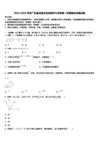 2023-2024学年广东省河源市名校数学七年级第一学期期末经典试题含解析.doc