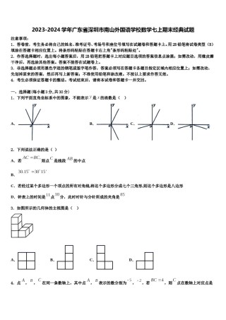 2023-2024学年广东省深圳市南山外国语学校数学七上期末经典试题含解析.doc