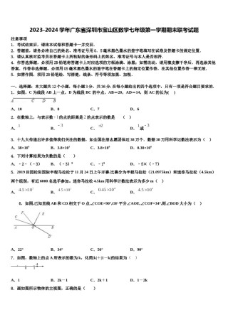 2023-2024学年广东省深圳市宝山区数学七年级第一学期期末联考试题含解析.doc