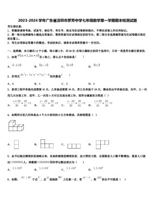 2023-2024学年广东省深圳市罗芳中学七年级数学第一学期期末检测试题含解析.doc