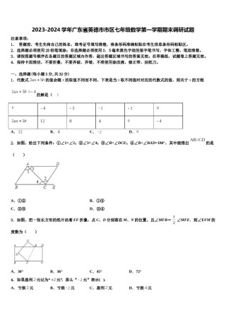 2023-2024学年广东省英德市市区七年级数学第一学期期末调研试题含解析.doc
