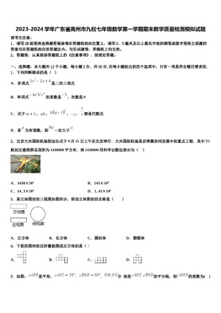 2023-2024学年广东省高州市九校七年级数学第一学期期末教学质量检测模拟试题含解析.doc