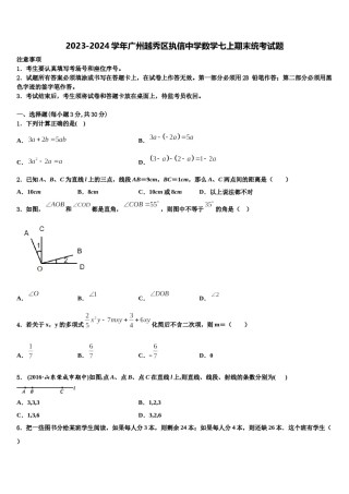 2023-2024学年广州越秀区执信中学数学七上期末统考试题含解析.doc